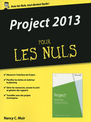 cover image of Project 2013 Pour les Nuls